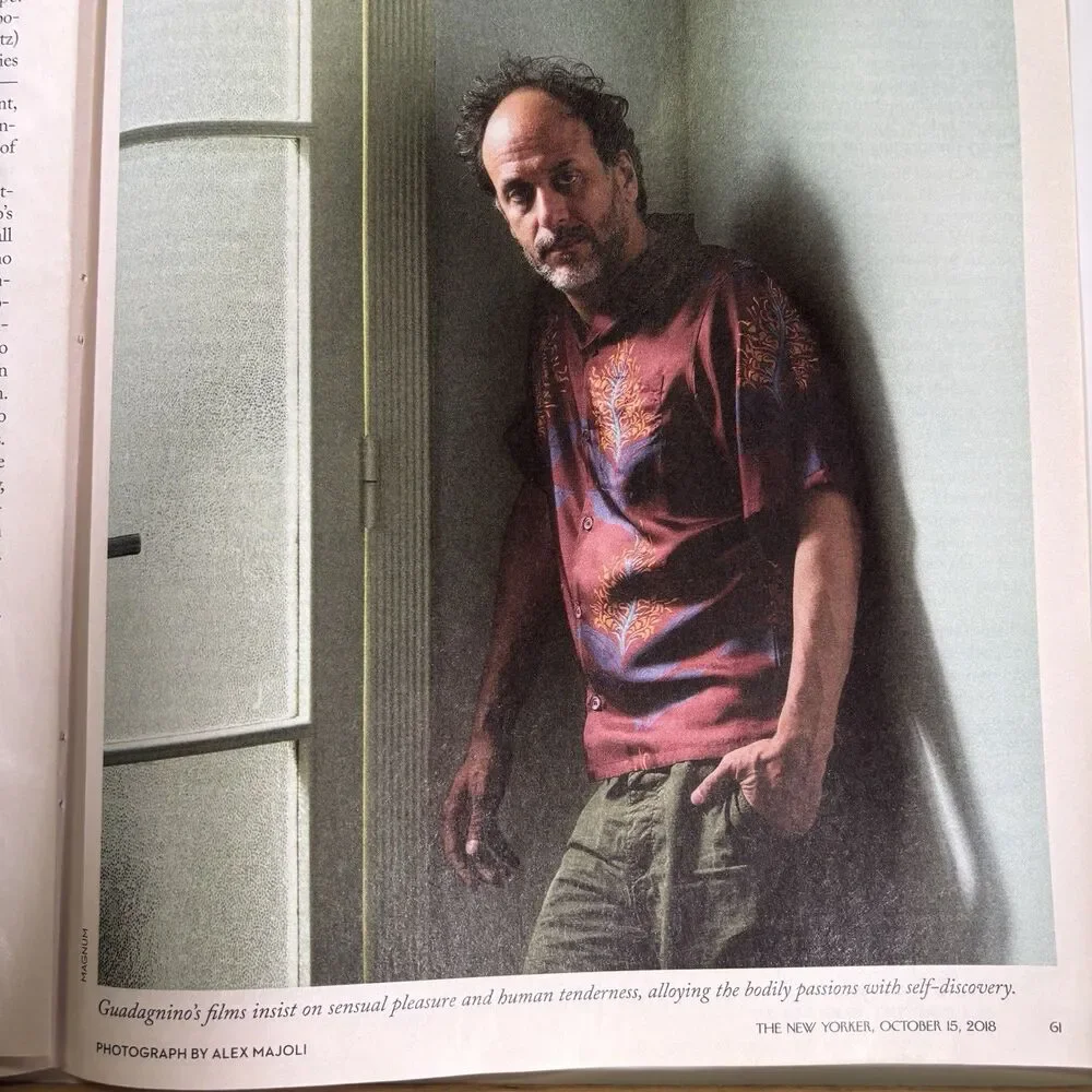 Luca Guadagnino director producer Print Ad Pinup Poster magazine article photo